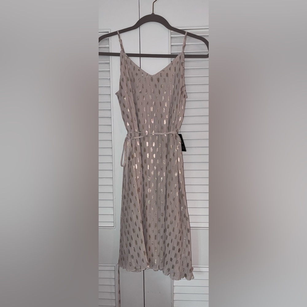 NWT - Express Beige Dress with Metallic Accents